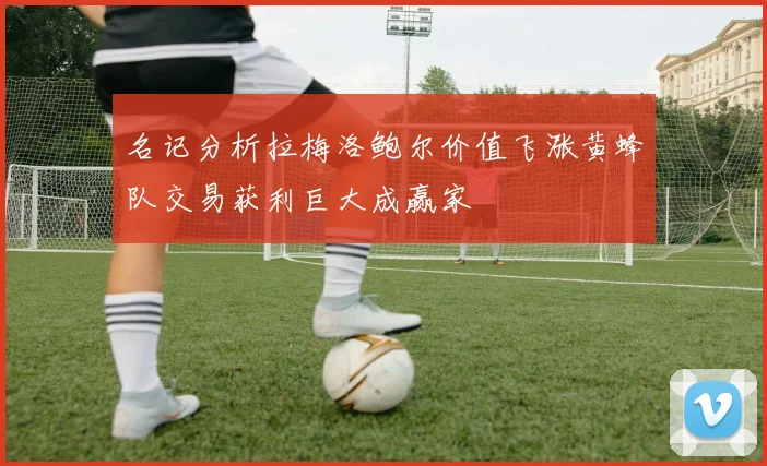 名记分析拉梅洛鲍尔价值飞涨黄蜂队交易获利巨大成赢家